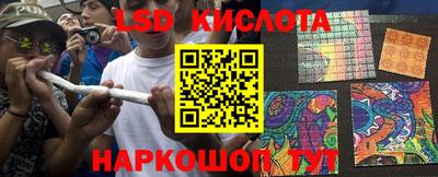гидропоника Ставрополь