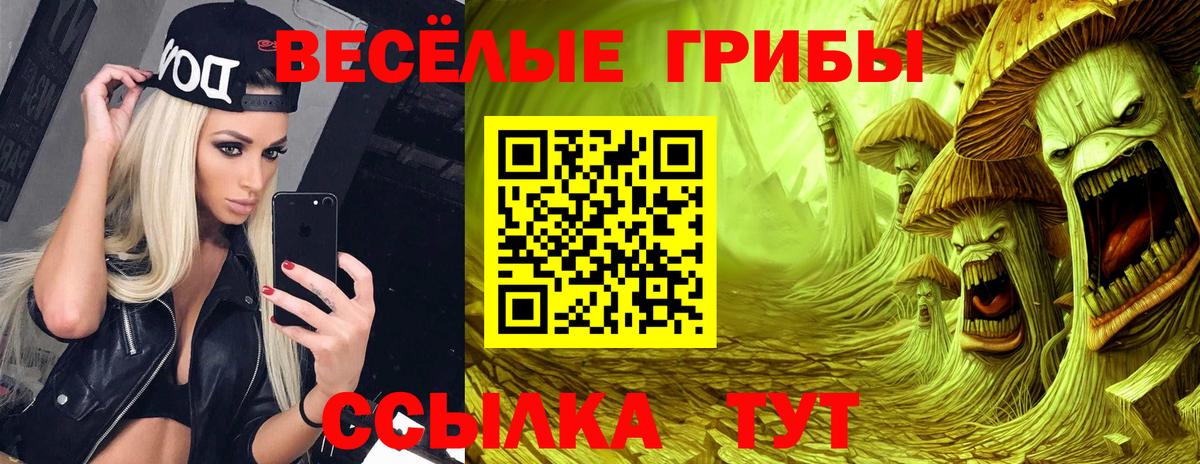 Галлюциногенные грибы ЛСД Новочебоксарск
